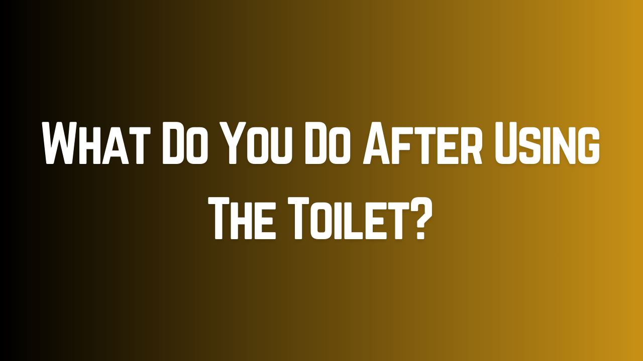 what-do-you-do-after-using-the-toilet-fife-trades